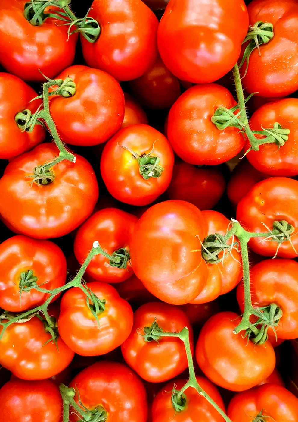 Tomates mûres et produits de saison